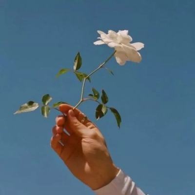 暗黑之神奇迹时代游戏下载